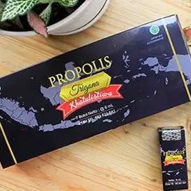 Propolis Trigona Khatulistiwa - satu box isi 7 botol
