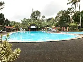 KOST HOTEL VILLA PUNCAK CIPANAS, PASAR DK  KOTA BUNGA GREEN APPLE