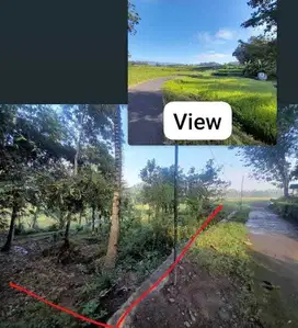 DIJUAL TANAH SAWAH FISIK PEKARANGAN AKSES ASPAL DI NANGGULAN.JK13387