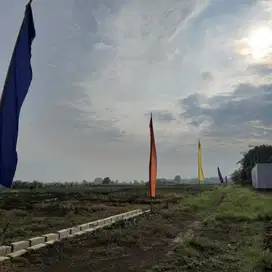 Kavling SHM Murah di Pungging Mojokerto | Cicilan 24x Tanpa Bunga