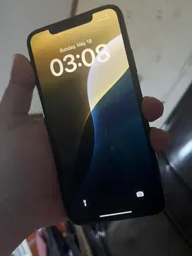 11 PROMAX 256 GB INTERN
