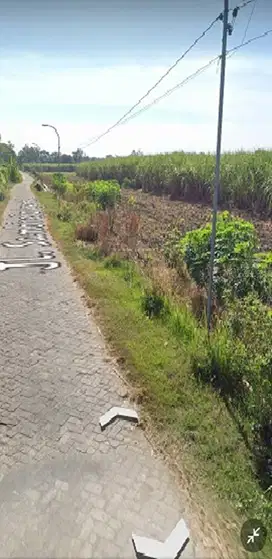 Tanah Kel Sambirejo Kec Jogoroto Kab Jombang