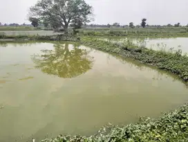 Lahan Kel Pomahanjanggan Kec Turi Kab Lamongan