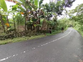 Tanah tegalan shm utara tanah milik amikom jogja di Gunungkidul