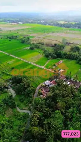 Di Jual Cepat Rumah Joglo Cocok Untuk Usaha  Di Jogjakarta