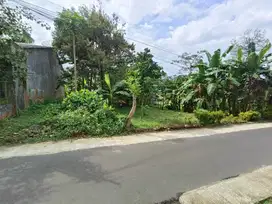 Tanah kosong asri Banteran Sumbang Banyumas