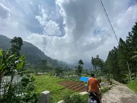 DIJUAL TANAH DAERAH GUCI