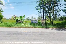 Dijual Tanah Jalan Utama Jungkat Sampai Laut Jungkat Pontianak