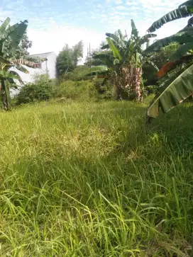 DIJUAL KAVLING DUKUH BIMA