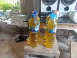Minyak Goreng Curah Murah