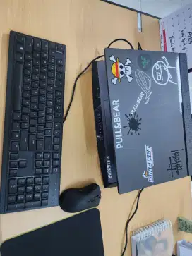 Asus ROG G513RM