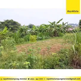 Dijual Tanah di jati agung, lampung selatan (kode: CC 3243)