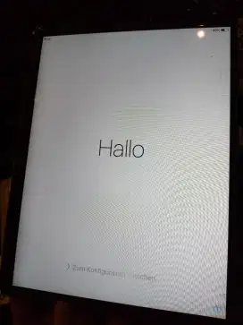 Lcd iPad 2 model A1396