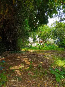 Tanah Strategis sebelah Gema Pesona Depok