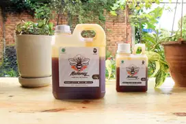 Madu Trigona / Klanceng 100% Asli - Netto 1 Kg