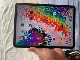 Ipad pro 11  256GB
