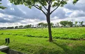 Dijual Kavling Komersil Brooklyn Pantai Indah Kapuk 2