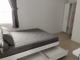 Kost 5 Star Suite Binus Jakarta Barat Palmerah Slipi