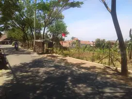 Tanah Pasir Jati Pinggir Jalan Cocok Untuk Perumahan