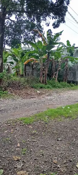 Dijual Tanah Makassar sekitar Jl Perintis Kemerdekaan, Tamalanrea