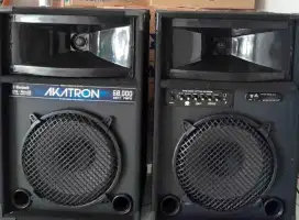 SPEAKER KARAOKE 12INCH