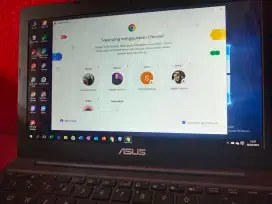 Notebook Asus E203BAH