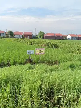 Dijual Cepat Tanah Pal 13 Banjarmasin  Uk lebar 17meter panjang 35 Mtr