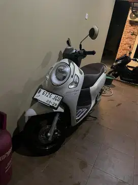 scoopy                                   .