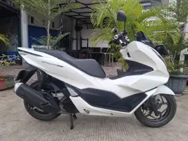 Honda PCX 160cc tahun 2024 pajak panjang siap pakek
