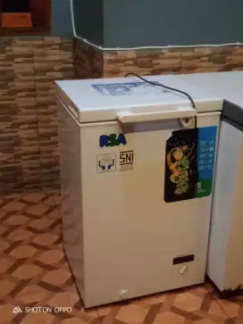 Freezer RSA 100 L