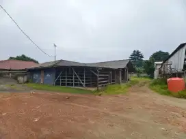 Dijual Kavling tanah komersil
Di jalan raya Pondok Jaya, pondok aren