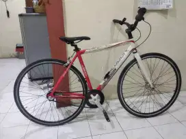 Sepeda Smilodon 700c