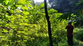 Dijual tanah kebun