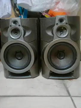 Speaker Sony LV909