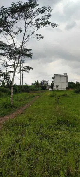 DIJUAL TANAH KEBUN Di Wagir, Malang