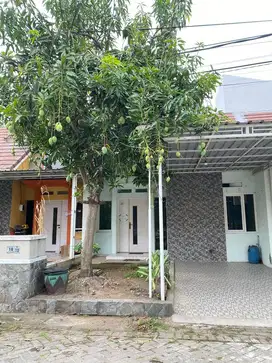 Dikontrakkan rumah di PPS Gresik