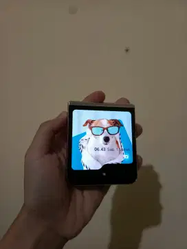 Samsung z flip 5 greenline tompel
