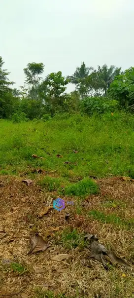 TANAH MURAH PARUNG BOGOR RAYA DEKAT MCD PARUNG