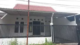 Disewakan Rumah siap huni 1 lantai manyar