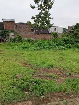 Tanah Emas Wendit Mangliawan Pakis Malang