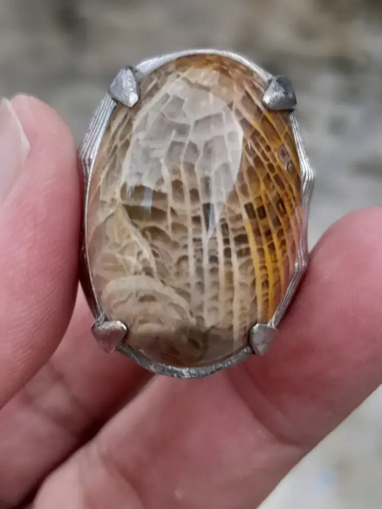 Batu akik teratai cantik