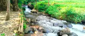 JUAL LAHAN PINGGIR SUNGAI VIEW INDAH PEGUNUNGAN