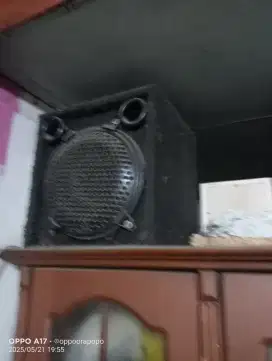 Speaker pasif 10 inc