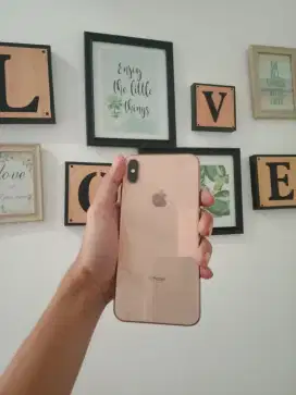 Xs max 512gb inter dual sim