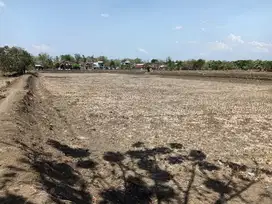 DIJUAL TANAH PLOT INDUSTRI 0 JALAN RAYA CERME GRESIK