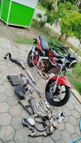 Ninja ss /ninja ss zebra/ninja r