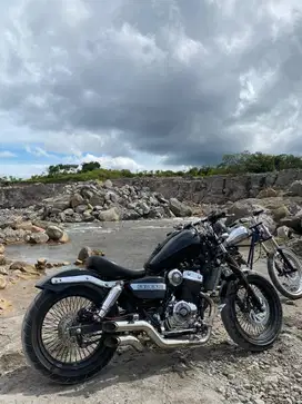 Benelli PE 250 custom