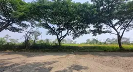Dijual Cepat Tanah Strategis di Grand Sentul, Bogor.