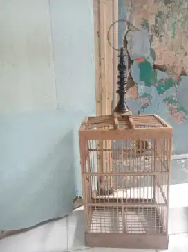 JUAL CEPAT KANDANG BURUNG PLECI KERAJINAN TANGAN SENDIRI