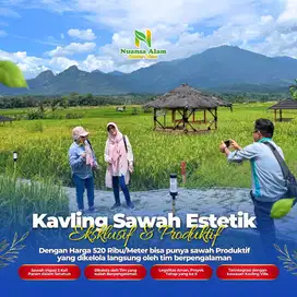 TANAH KAVLING SAWAH HARGA MURAH VIEW INDAH LEGALITAS SHM DI BOGOR TIMU
